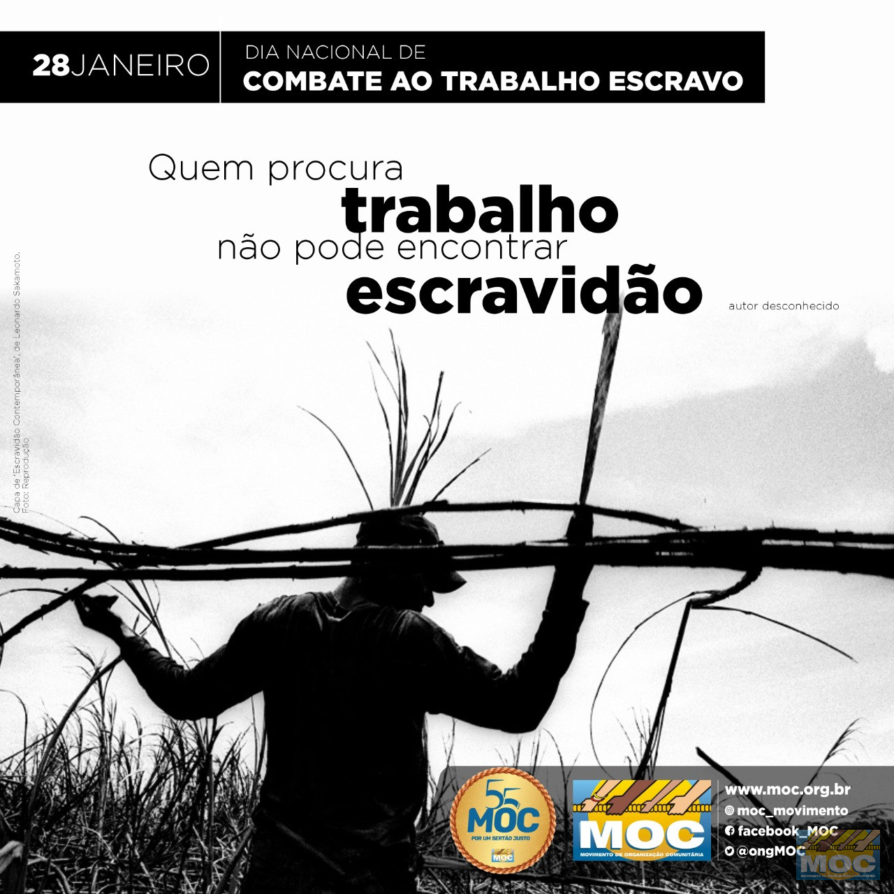 28 de janeiro: Dia do Combate ao Trabalho Escravo