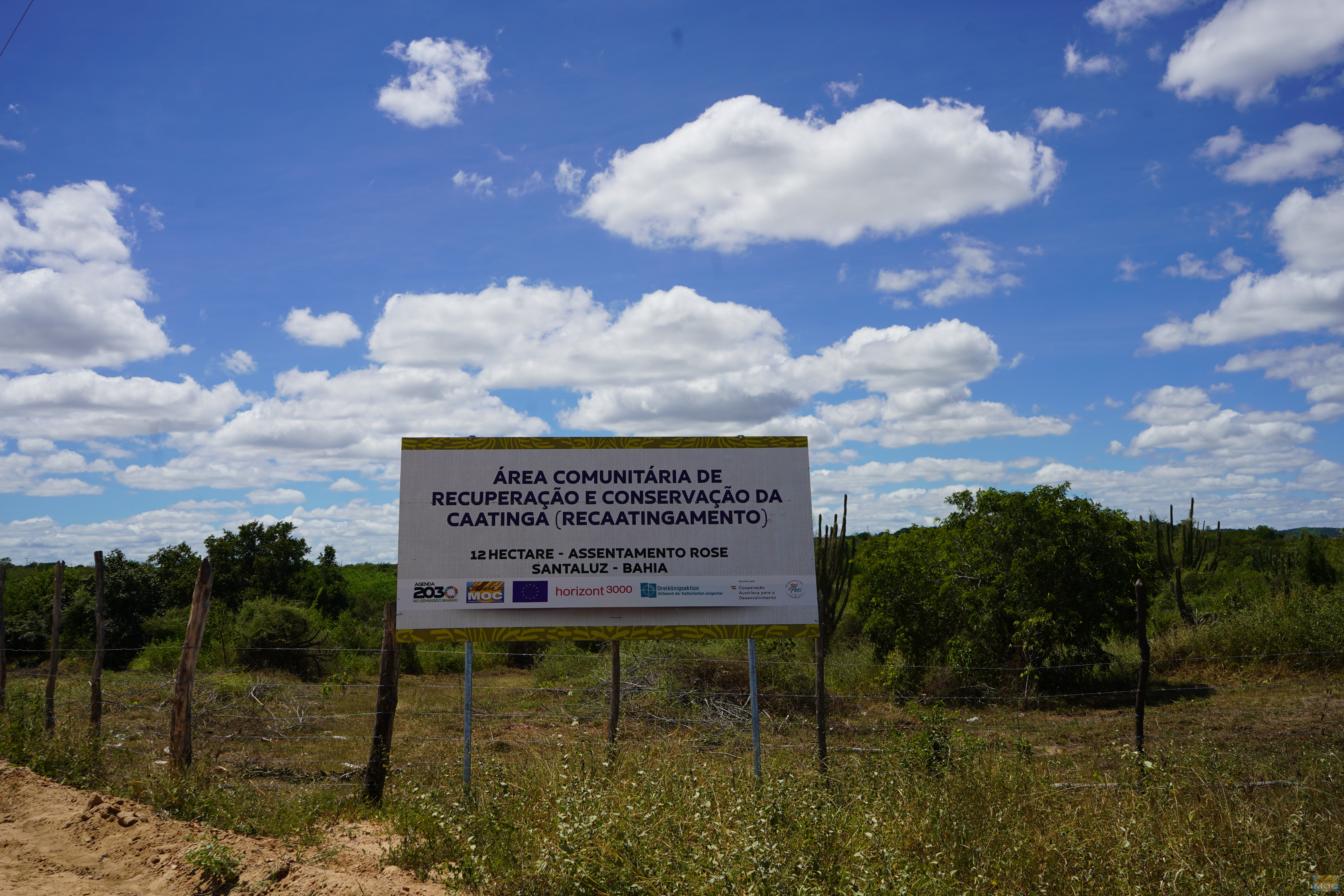A Comissão de Meio Ambiente do Senado aprova política nacional para recuperação da Caatinga