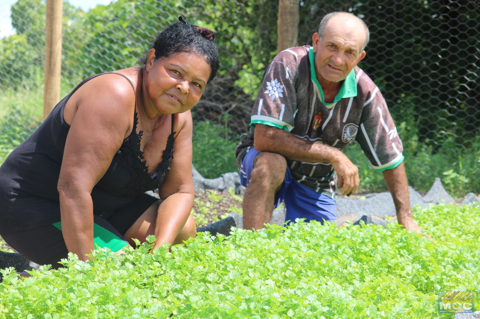 Do campo à mesa: por que reduzir agrotóxicos é uma questão de saúde pública