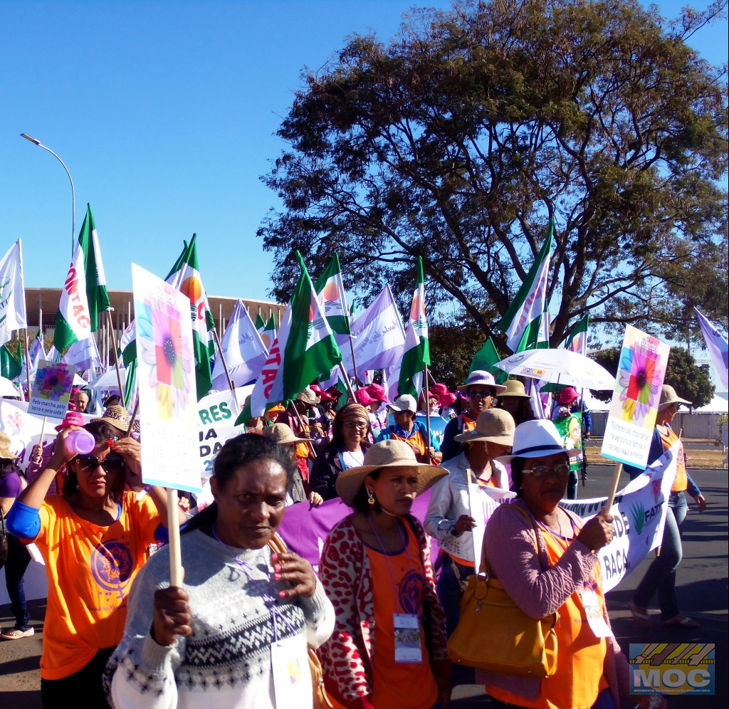 Território do Sisal e Bacia do Jacuípe celebram o Dia Internacional da Mulher
