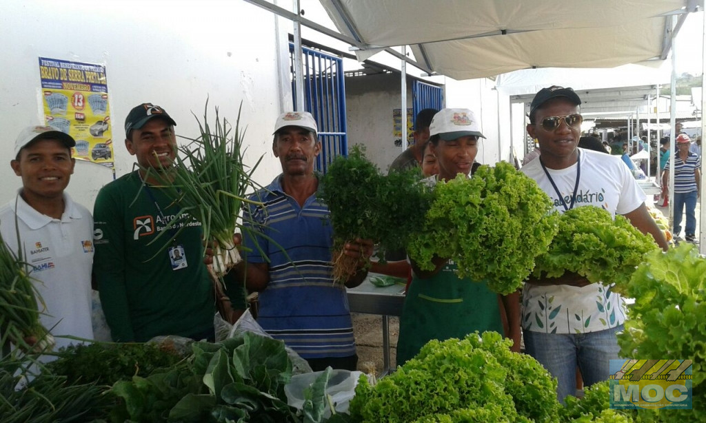 Ipirá realiza evento inaugural da sua Feira Agroecológica