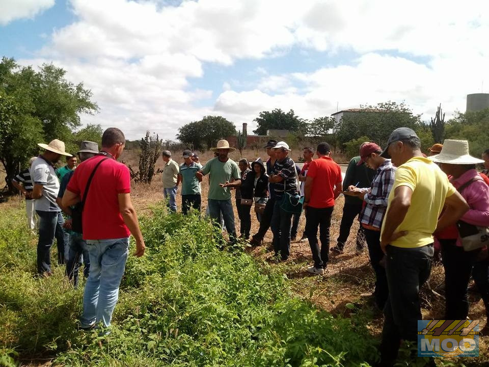 Agricultores/as praticam trocas de experiências em intercâmbio