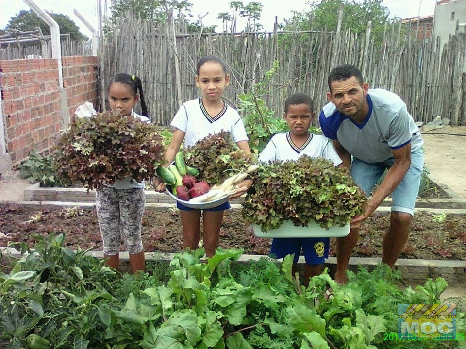 Crianças colhem frutos da Educação do Campo Contextualizada em Valente