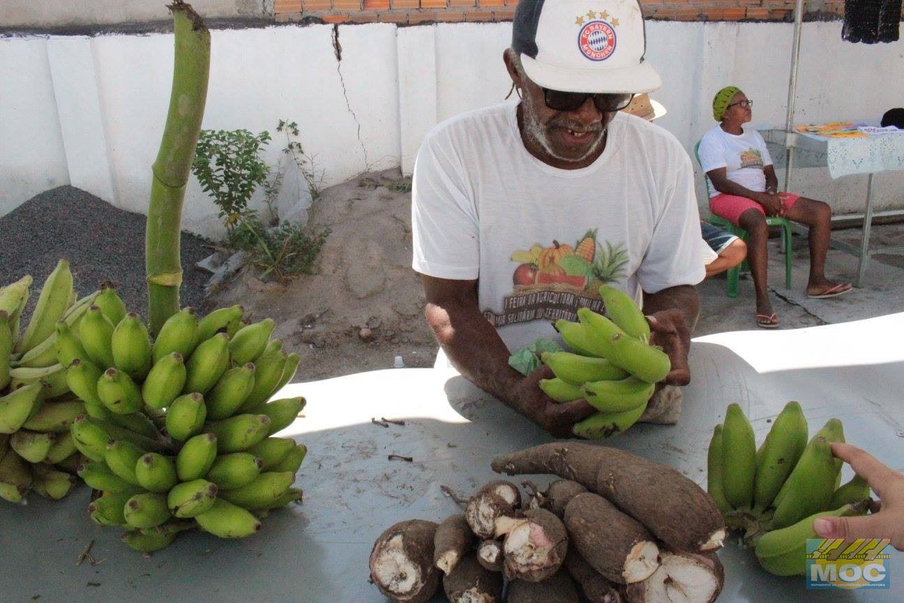 Feira da Agricultura Família e Economia Solidária do Território Portal do Sertão foi realizada em sua 3ª edição em Feira de Santana