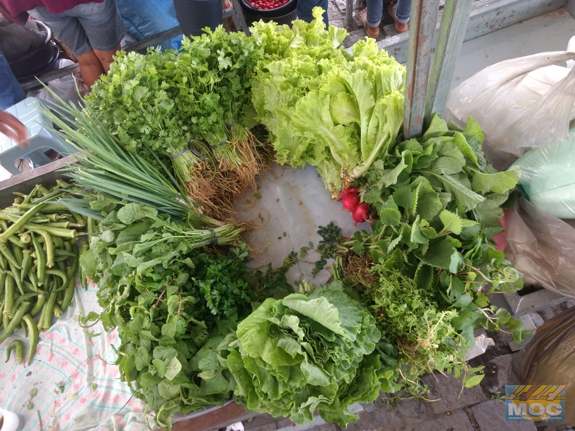 Feira Agroecológica de Conceição do Coité comemora um ano de existência e persistência no Semiárido baiano