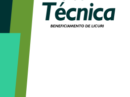 Nota Técnica: Beneficiamento do Licuri