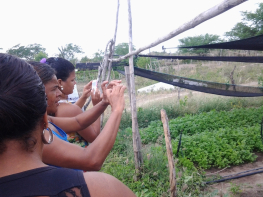 Momentos de emoções, trocas e aprendizagens no intercâmbio em Barrocas