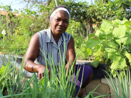 MOC é selecionado em chamadas públicas para serviços de assistência técnica que beneficiarão agricultores familiares