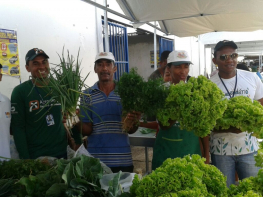 Ipirá realiza evento inaugural da sua Feira Agroecológica