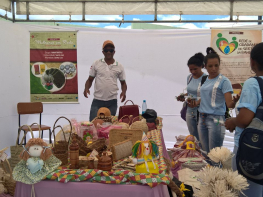 A comercialização em Rede vem fortalecendo e dando visibilidades aos produtos da Agricultura Familiar e Economia Solidária