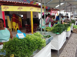 Inaugurada a Feira Agroecológica permanente de Retirolândia