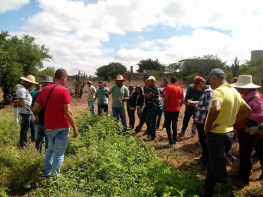 Agricultores/as praticam trocas de experiências em intercâmbio