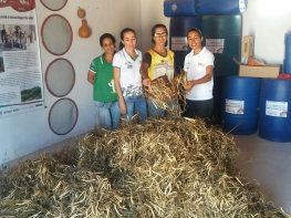 Comunidade Bastião realiza colheita de Sementes Crioulas e guarda em Banco Comunitário 