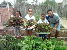 Crianças colhem frutos da Educação do Campo Contextualizada em Valente