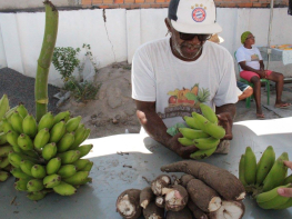 Feira da Agricultura Família e Economia Solidária do Território Portal do Sertão foi realizada em sua 3ª edição em Feira de Santana