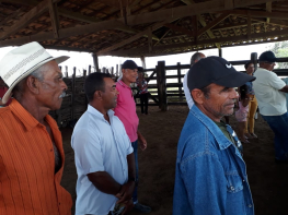 Capacitação de manejo sanitário de bovinos aconteceu em Serra Preta