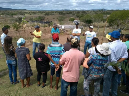 Trocas de conhecimentos foram realizadas entre agricultores/as com Intercâmbio em Serra Preta