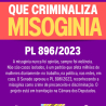 Projeto que criminaliza a misoginia avança no Congresso em meio ao crescimento de discursos de ódio contra mulheres