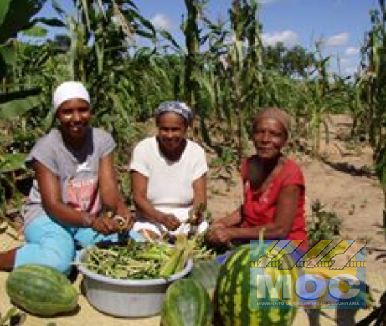 Gênero - Mulheres do Semiárido