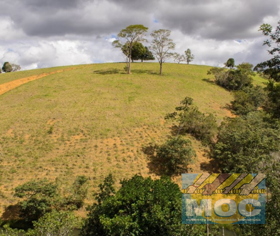 Caravana MOC 50 Anos -  EXPOSIÇÃO FOTOGRÁFICA