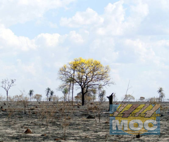 Caravana MOC 50 Anos -  EXPOSIÇÃO FOTOGRÁFICA