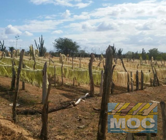 Caravana MOC 50 Anos -  EXPOSIÇÃO FOTOGRÁFICA