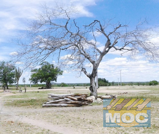 Caravana MOC 50 Anos -  EXPOSIÇÃO FOTOGRÁFICA