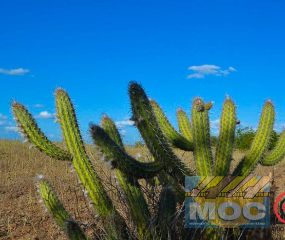 Caravana MOC 50 Anos -  EXPOSIÇÃO FOTOGRÁFICA