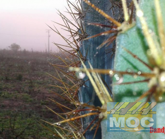 Caravana MOC 50 Anos -  EXPOSIÇÃO FOTOGRÁFICA