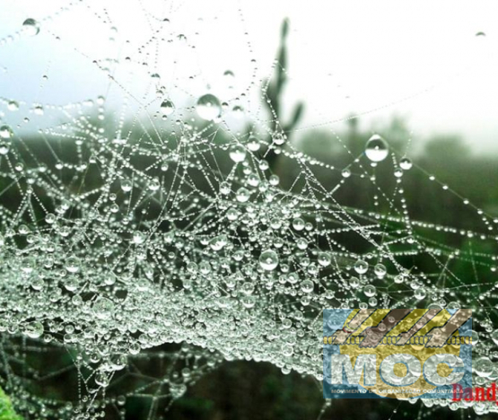 Caravana MOC 50 Anos -  EXPOSIÇÃO FOTOGRÁFICA