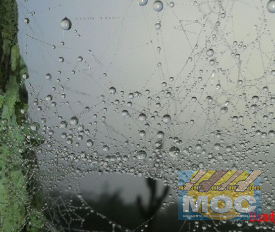 Caravana MOC 50 Anos -  EXPOSIÇÃO FOTOGRÁFICA