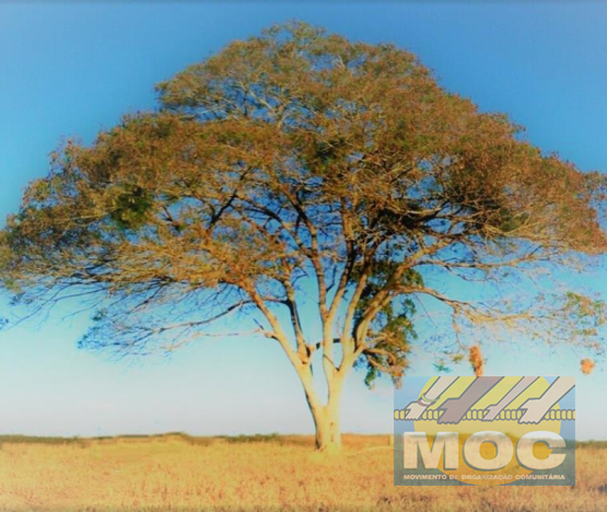 Caravana MOC 50 Anos -  EXPOSIÇÃO FOTOGRÁFICA