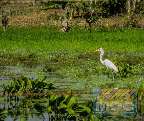 Caravana MOC 50 Anos -  EXPOSIÇÃO FOTOGRÁFICA