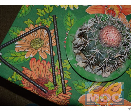 Caravana MOC 50 Anos -  EXPOSIÇÃO FOTOGRÁFICA