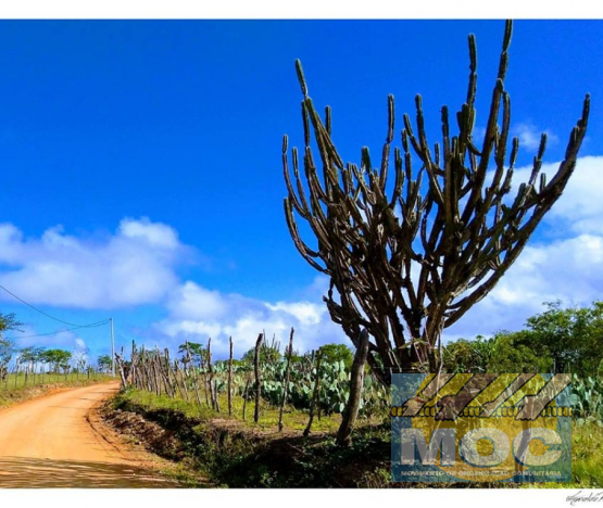 Caravana MOC 50 Anos -  EXPOSIÇÃO FOTOGRÁFICA