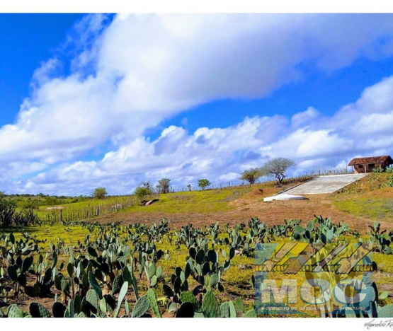 Caravana MOC 50 Anos -  EXPOSIÇÃO FOTOGRÁFICA