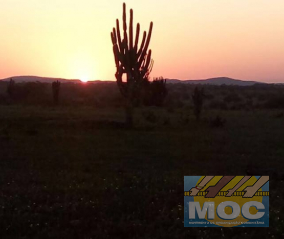 Caravana MOC 50 Anos -  EXPOSIÇÃO FOTOGRÁFICA