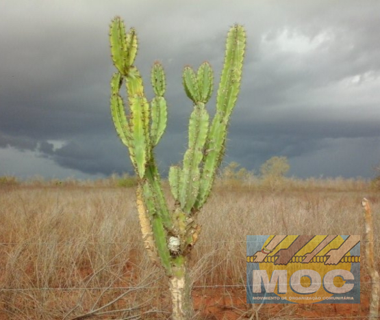 Caravana MOC 50 Anos -  EXPOSIÇÃO FOTOGRÁFICA