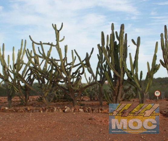 Caravana MOC 50 Anos -  EXPOSIÇÃO FOTOGRÁFICA