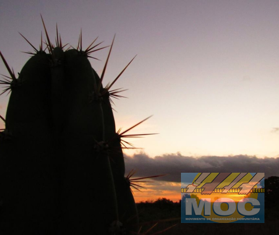 Caravana MOC 50 Anos -  EXPOSIÇÃO FOTOGRÁFICA